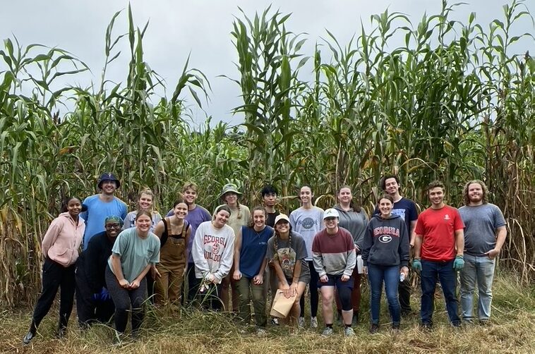 Group of students standing in corn field.