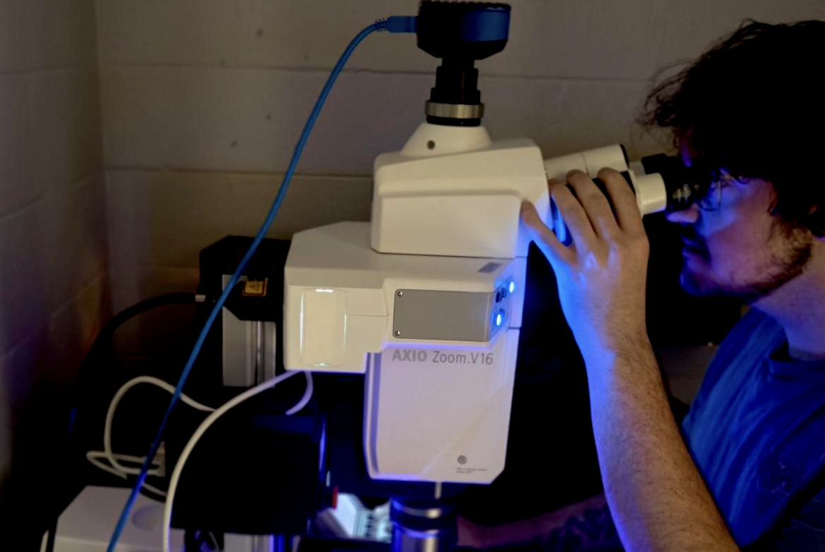 Student looking into microscope.